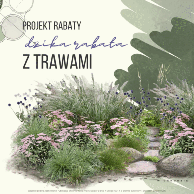Dzika rabata z trawami
