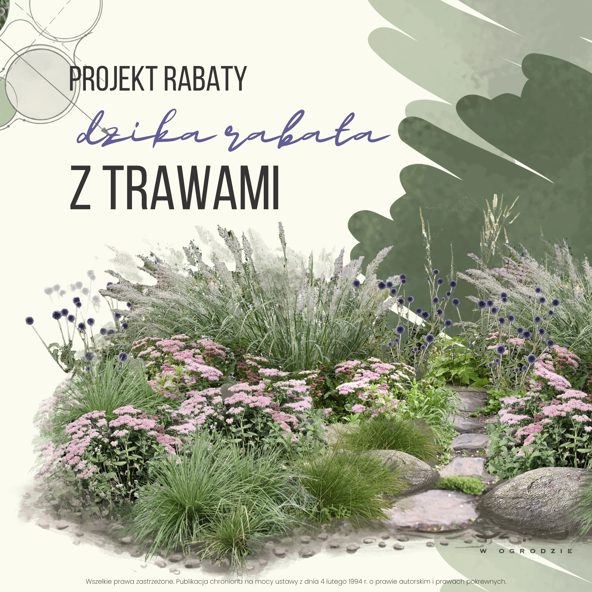 Kanny Rabata Dzika rabata z trawami - DzikoWOgrodzie.pl