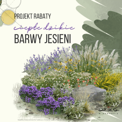 Dzika rabata ciepłe barwy jesieni