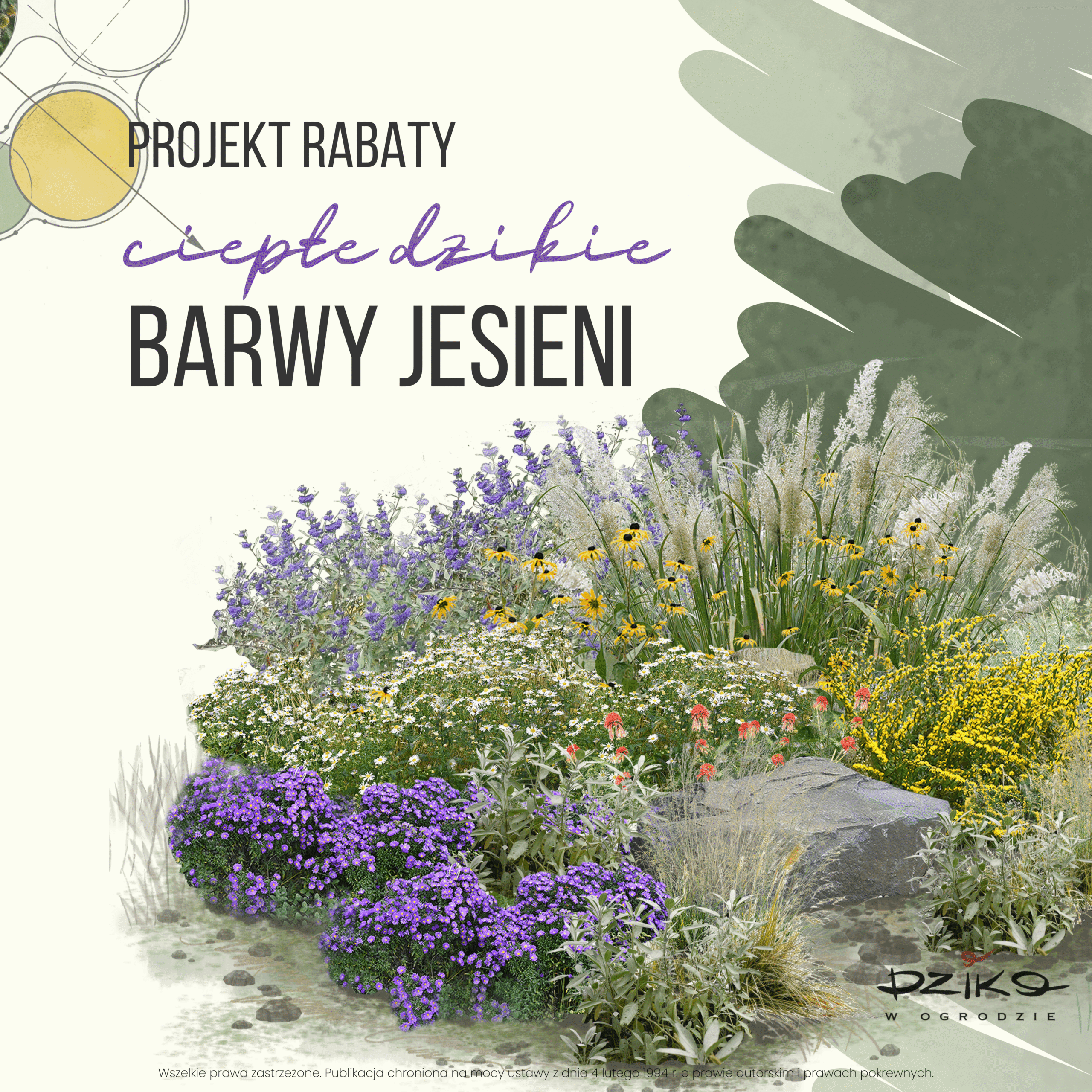 Kanny Rabata Dzika rabata ciepłe barwy jesieni - DzikoWOgrodzie.pl