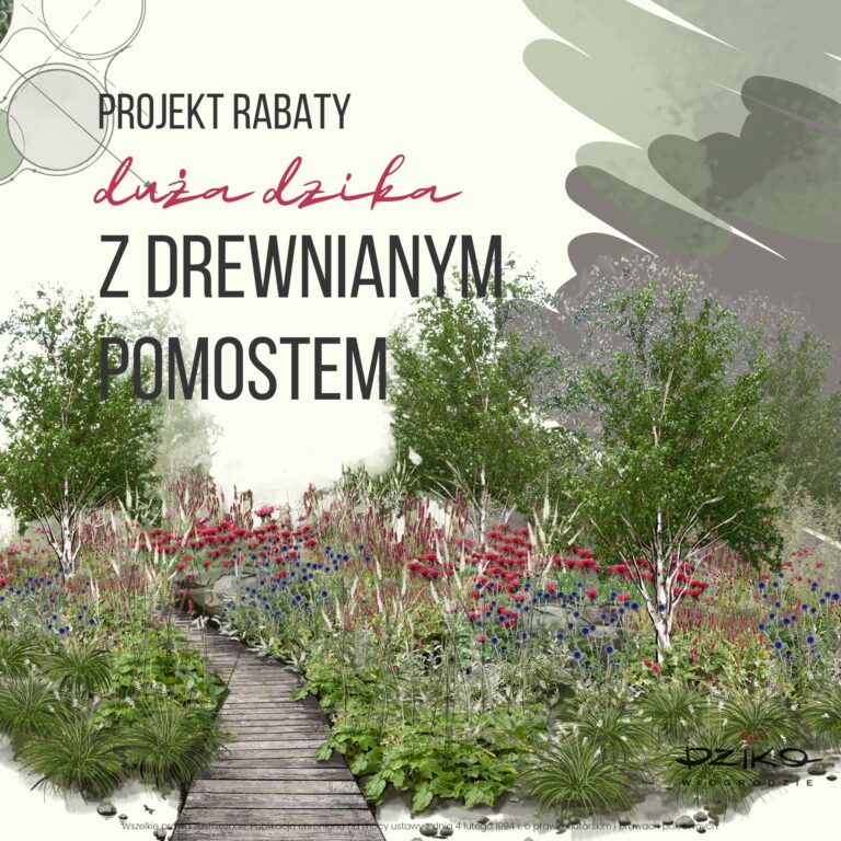 projekt naturalnej rabaty