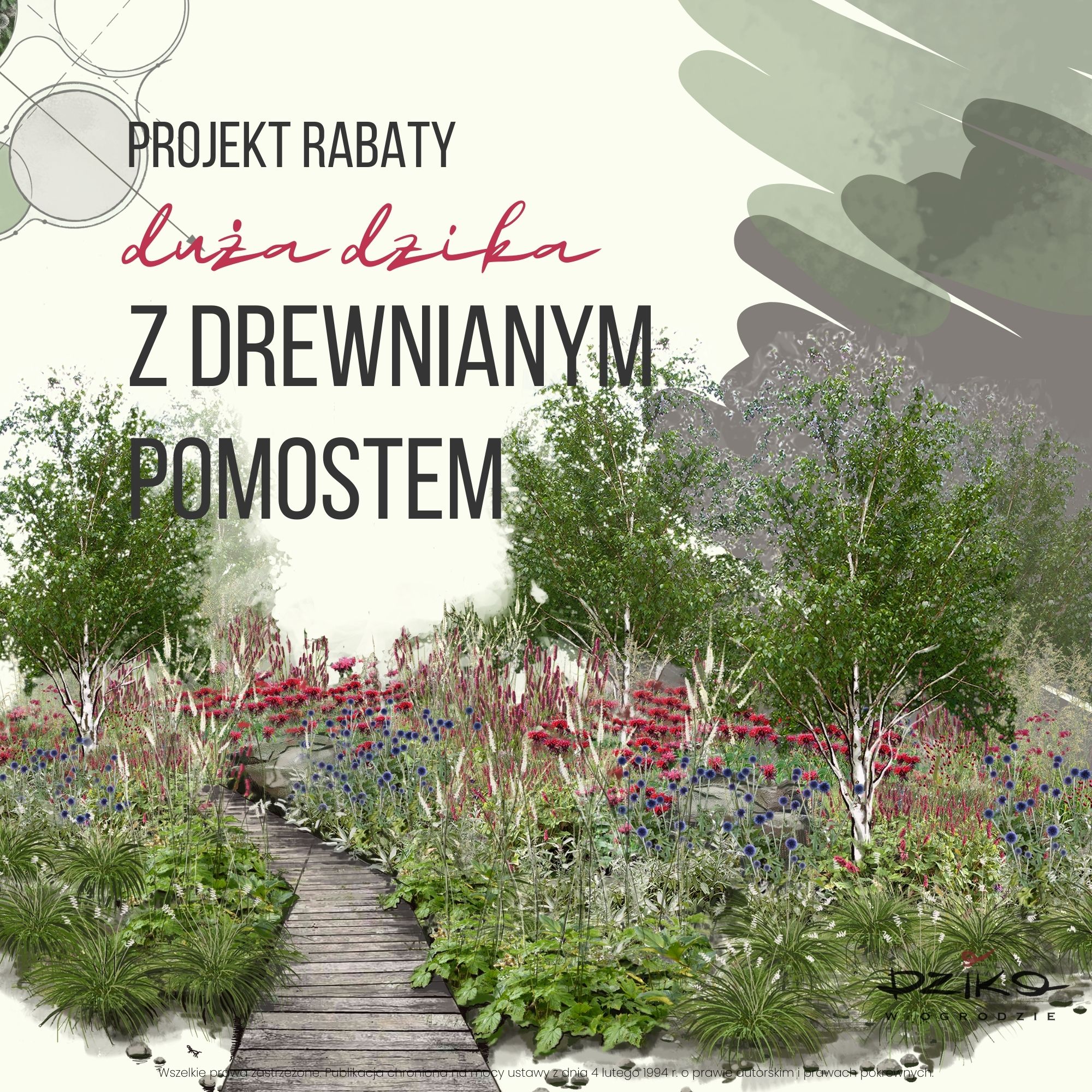 Kanny Rabata .Dzika rabata z drewnianym pomostem - DzikoWOgrodzie.pl